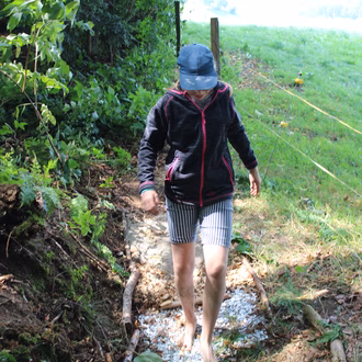 Barfussweg am Waldtag